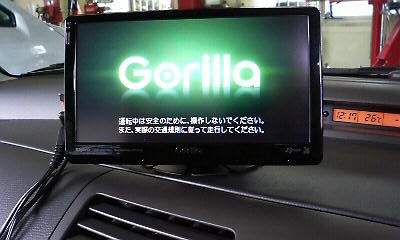 Gorilla.jpg