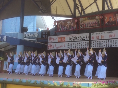 awaodori 20177.jpg