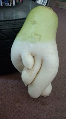 daikon ria.jpg