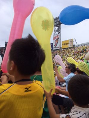 kazoku yakyukansen 20140628.jpg