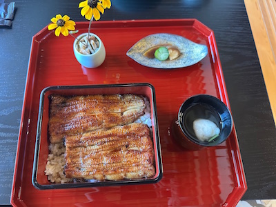 unagi 6 202508.jpg